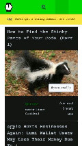Frame #3 - hackernoon.com