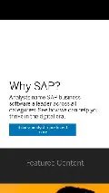 Frame #6 - sap.com