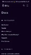 Frame #3 - blitzjs.com/docs